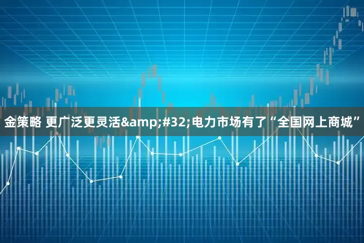 金策略 更广泛更灵活&#32;电力市场有了“全国网上商城”