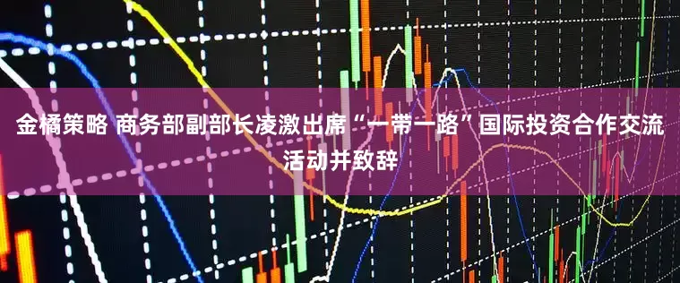 金橘策略 商务部副部长凌激出席“一带一路”国际投资合作交流活动并致辞