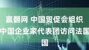 赢翻网 中国贸促会组织中国企业家代表团访问法国